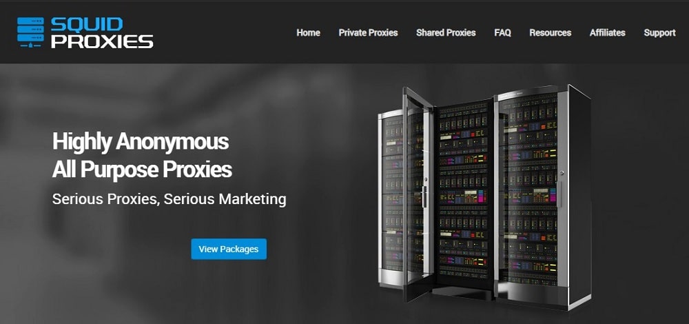 Squid Proxies Home Page