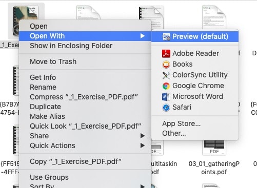 Preview to open the PDF file in mac