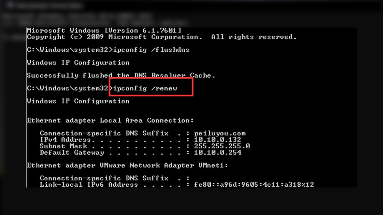 ipconfig renew