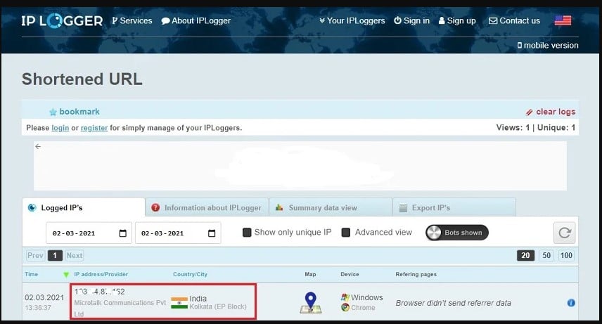 iplogger ip details result