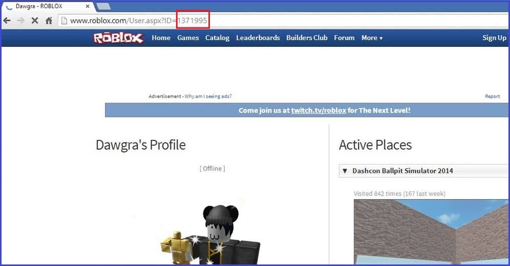 Roblox player id