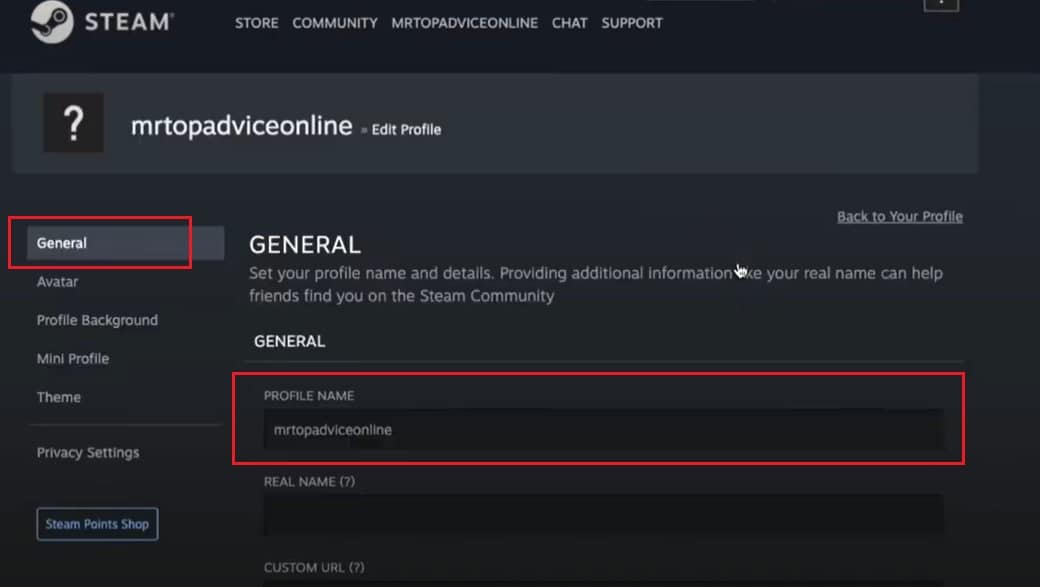 Steam Profile Name