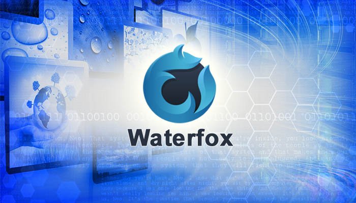 Waterfox data