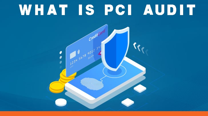 PCI Audit