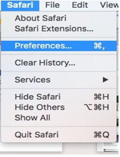 Safari peference for extention