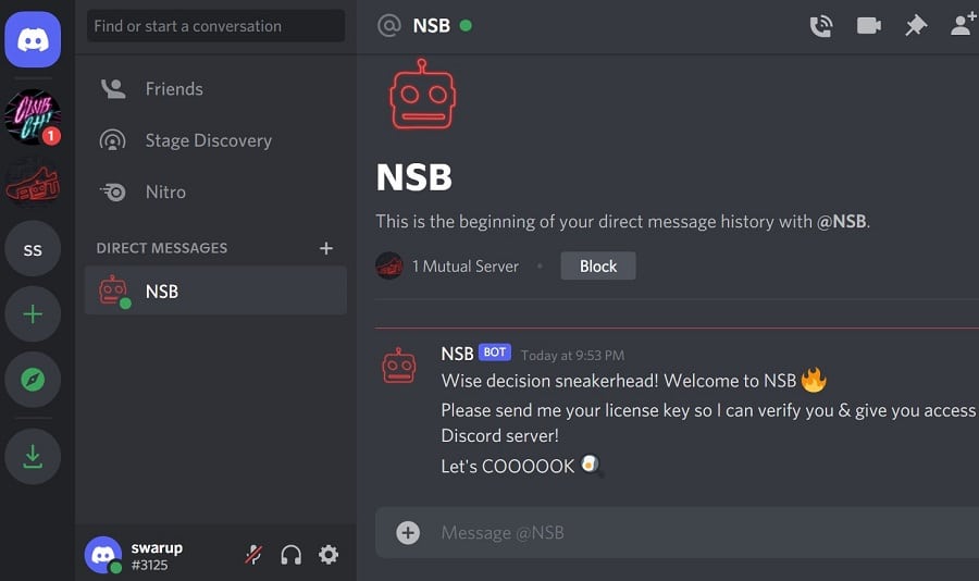 nike shoe bot discord