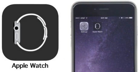 Apple Watch app