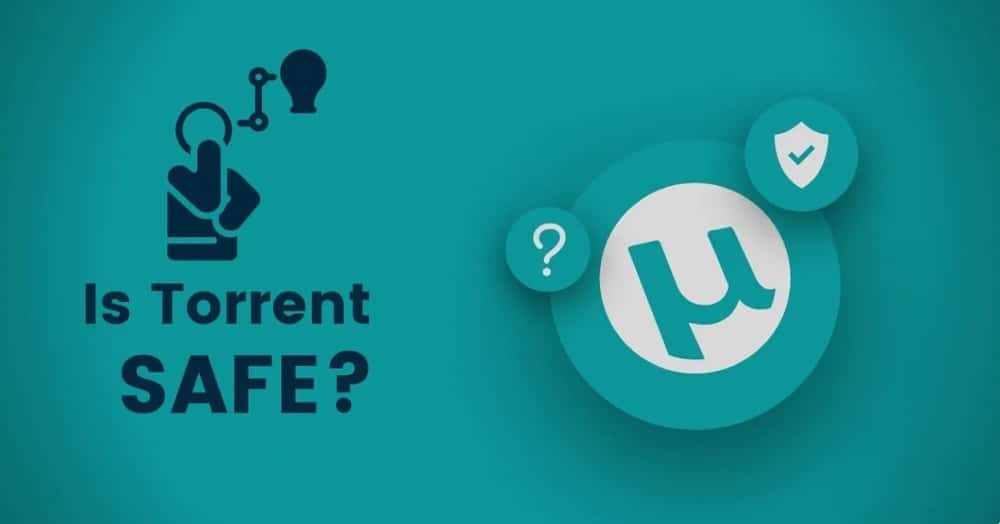 What is a Torrent? Here's All Things You Need to Know