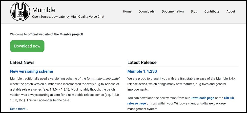 Mumble Overview