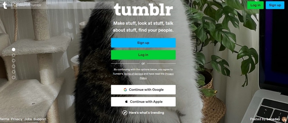 Tumblr overview