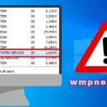 wmpnetwk.exe windows process