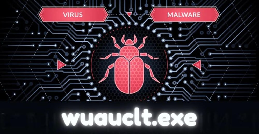 wuauclt.exe safe or is it a virus