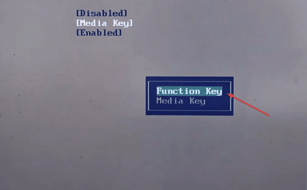 Select the Function key