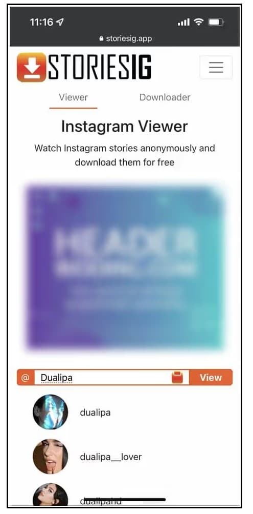 Stories IG for instagram viewer