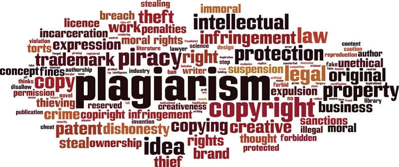 Definition Of Plagiarism