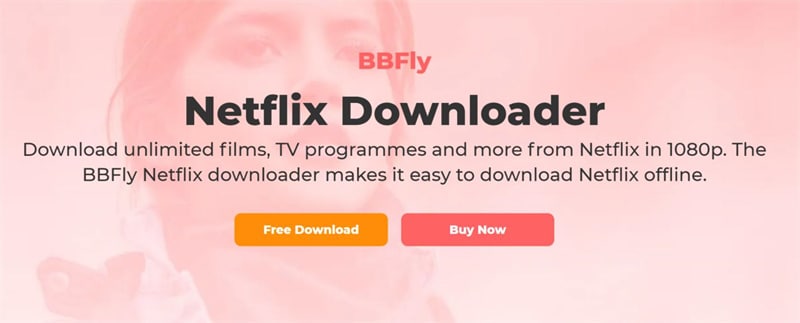 Download The Gray Man with BBFly Netflix Downloader