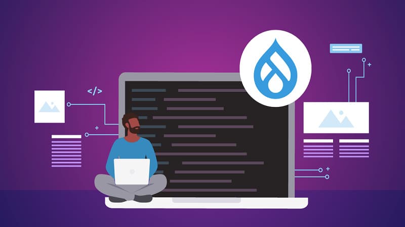 Effective Services for the Development of Complex Projects on Drupal