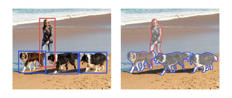 Object Detection vs. Object Recognition