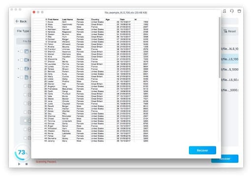 Preview the Recovered MS Excel File(s) and Save