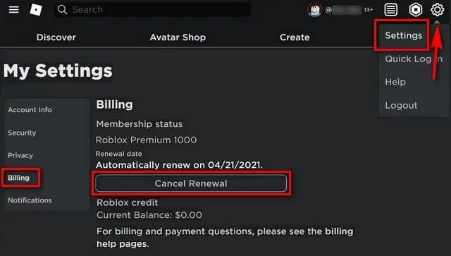 Settings in the resulting menu on Roblox