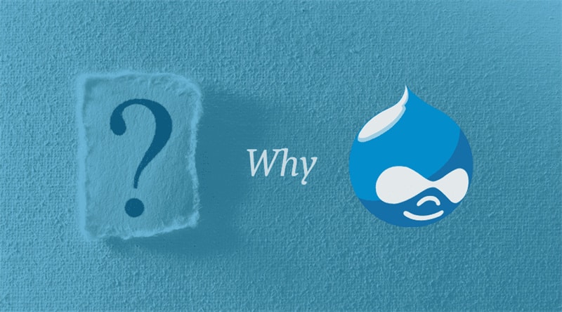 Why should you choose Drupal development