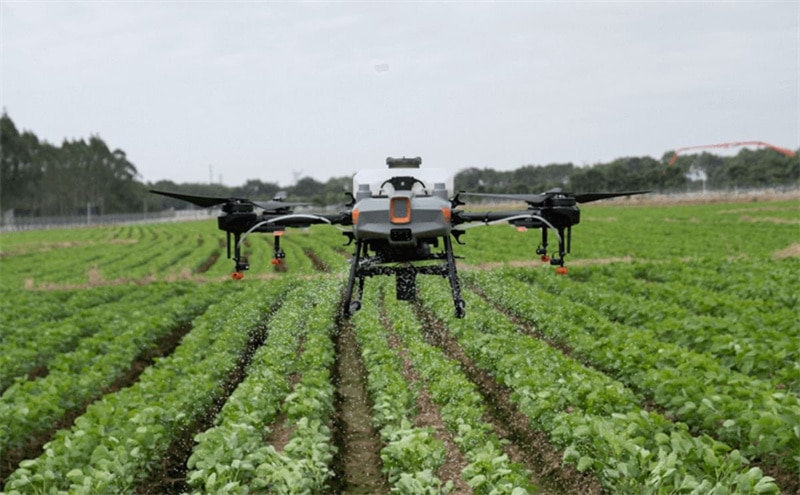 Drones and Food Sustainability