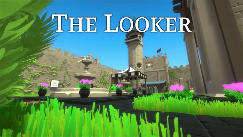 The Looker