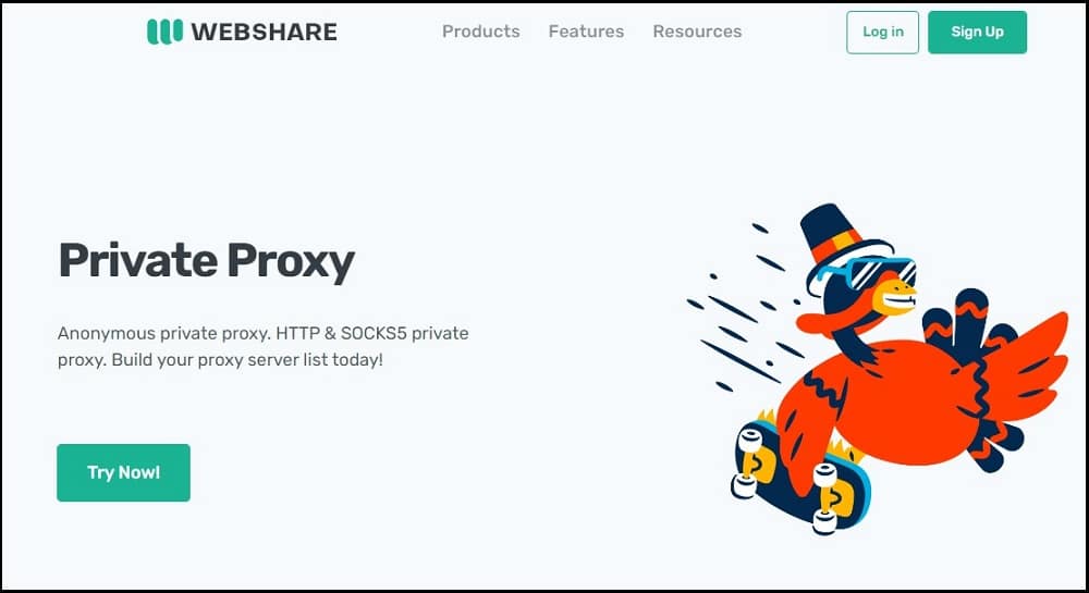 Webshare private proxies