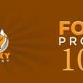 FoxyProxy 101
