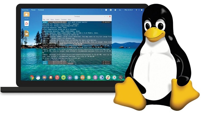 The Top 10 Reasons to Use a Linux Control Panel