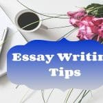 Academic Essay Writing Tips
