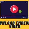Download embedded video