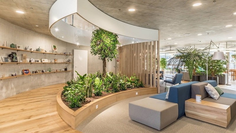 How to Incorporate Biophilic Design in Your Office Interior