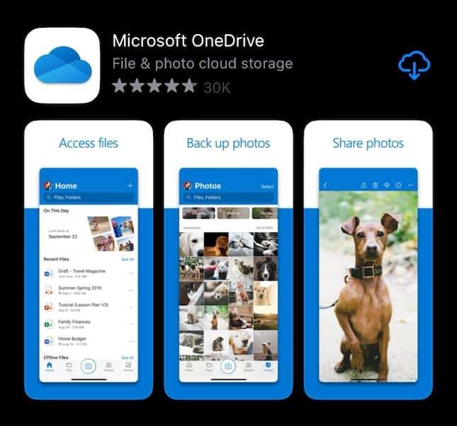 Download OneDrive on your iPhone from the App Store