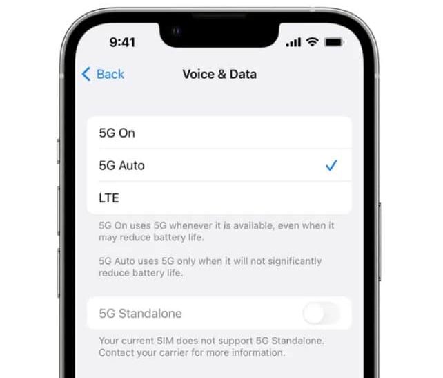 Different Voice & Data Options On iPhone 13