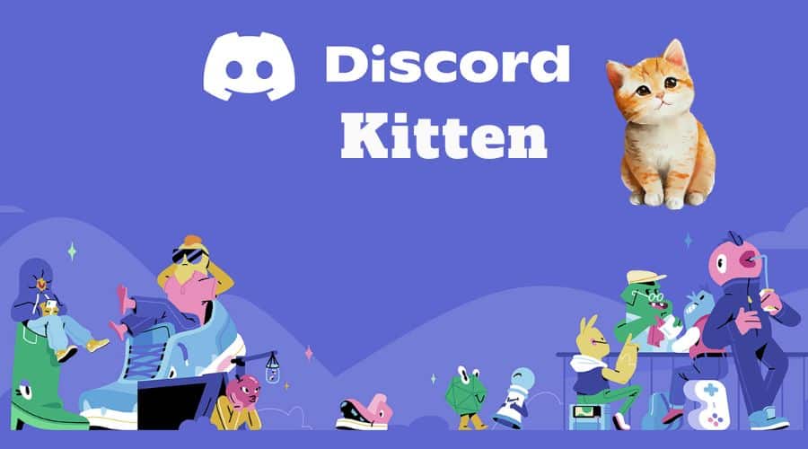 Discord Kitten