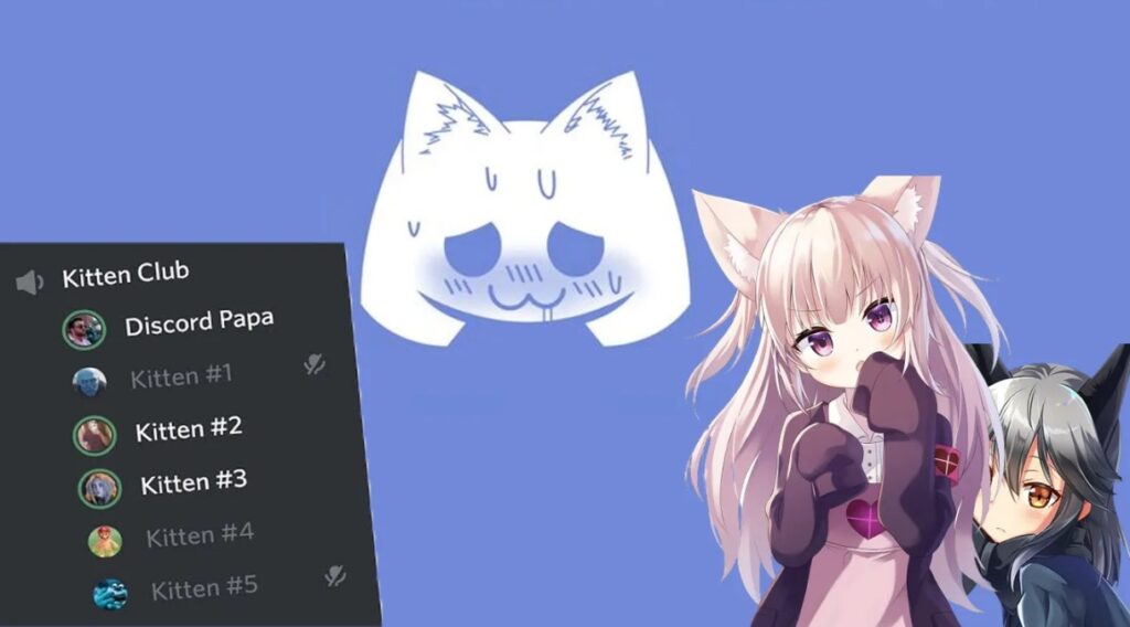 Who Is A Discord Kitten