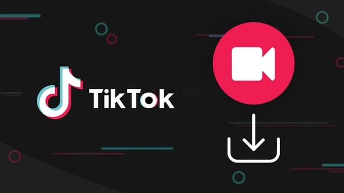 TikTok Videos Without Watermarks