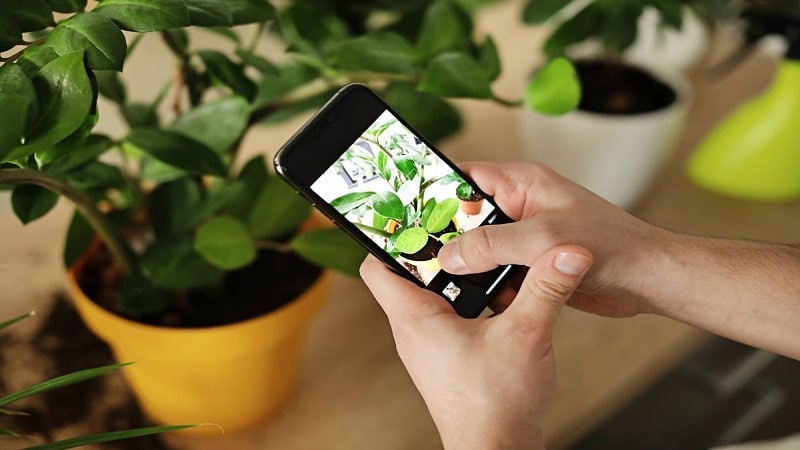 How to Create a Perfect App for Gardeners