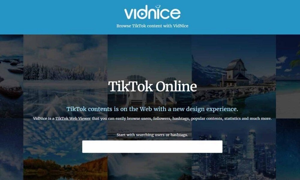 Vidnice for Private TikTok Viewer