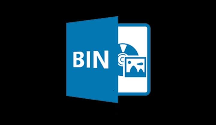 What is a BIN File