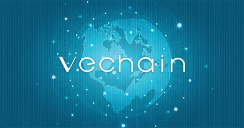 Challenges and Future of VeChain