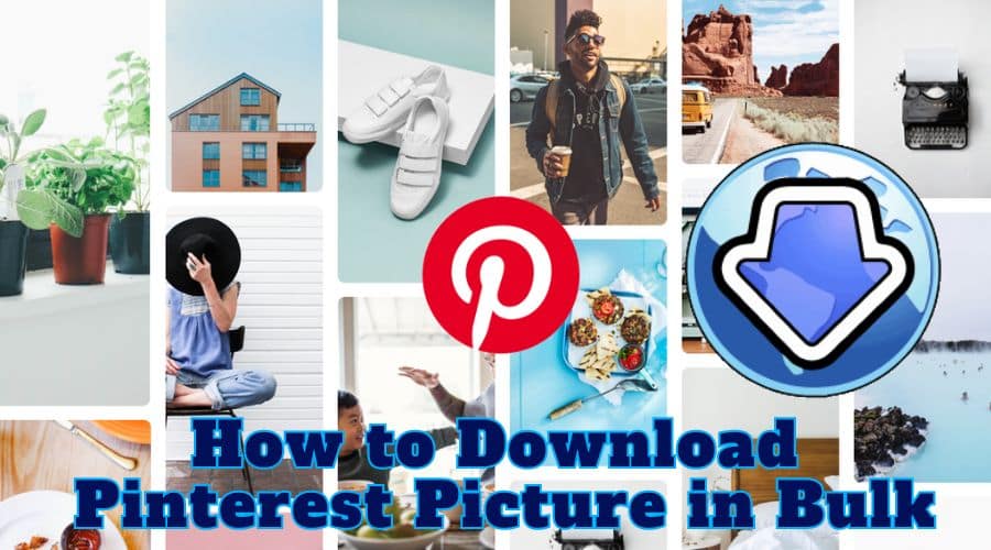 how to download pinterest picture in bulk