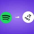 Best Spotify to MP3 Converter Online