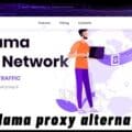 BigMama proxy alternatives