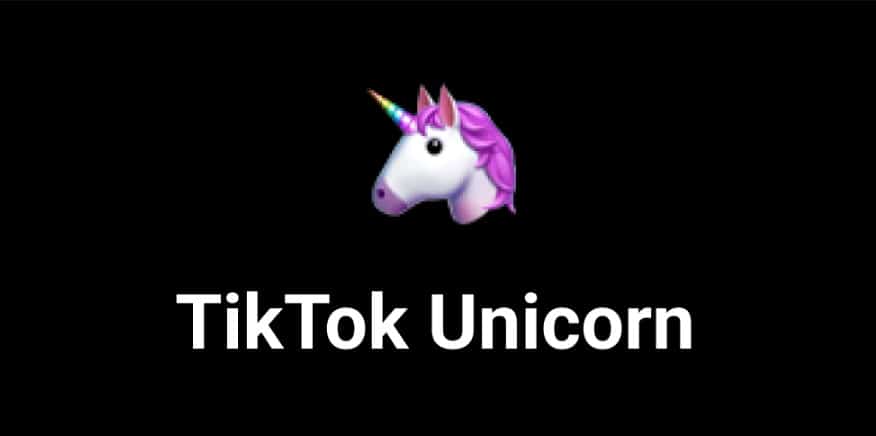 TikTok Unicorn