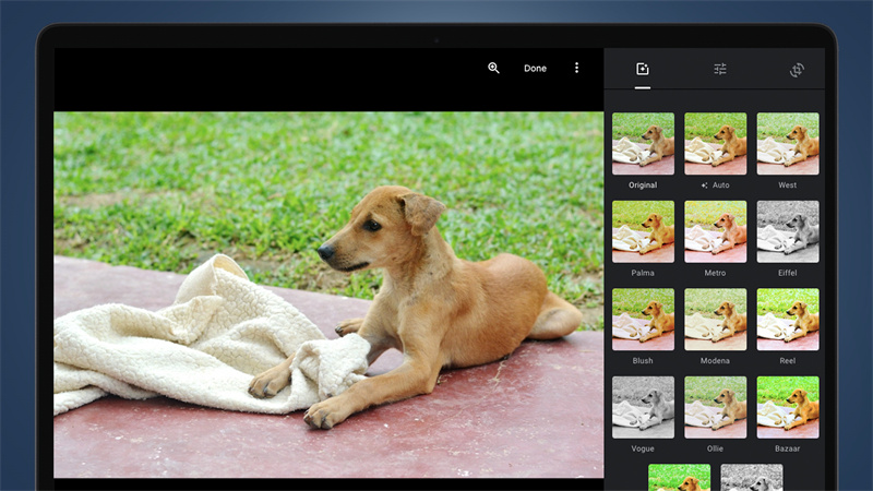 Editing and Sharing Photos GOG