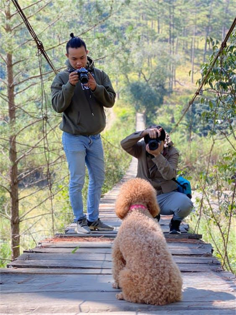 Taking Pictures at Dog’s Eye Level